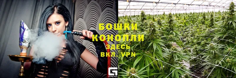 нарко площадка официальный сайт  цена   Нижнеудинск  Марихуана OG Kush 